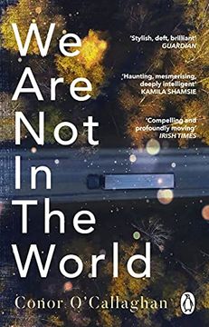 portada We are not in the World: ‘Compelling and Profoundly Moving’ Irish Times (en Inglés)
