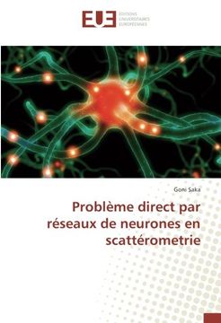 portada Problème direct par réseaux de neurones en scattérometrie (French Edition)