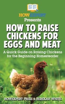 portada How to Raise Chickens for Eggs and Meat: A Quick Guide on Raising Chickens for the Beginning Homesteader