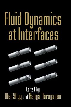portada Fluid Dynamics at Interfaces (en Inglés)