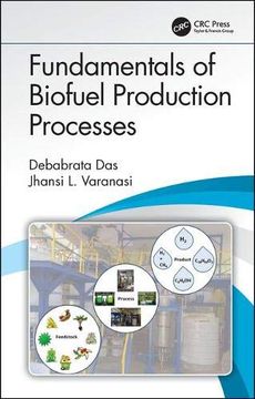 portada Fundamentals of Biofuel Production Processes (en Inglés)