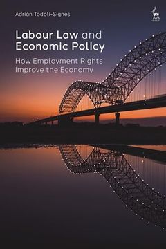 portada Labour law and Economic Policy: How Employment Rights Improve the Economy (en Inglés)