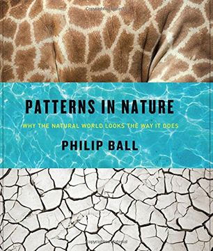 portada Patterns in Nature: Why the Natural World Looks the way it Does 
