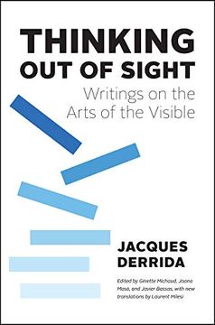 portada Thinking out of Sight: Writings on the Arts of the Visible (The France Chicago Collection) (in English)