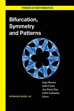 portada Bifurcation, Symmetry and Patterns (en Inglés)