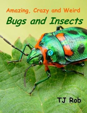 portada Amazing, Crazy and Weird Bugs and Insects: (Age 6 and above) (Amazing, Crazy and Weird Animal Facts)