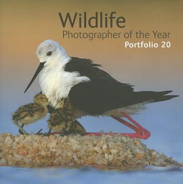 portada wildlife photographer of the year (en Inglés)