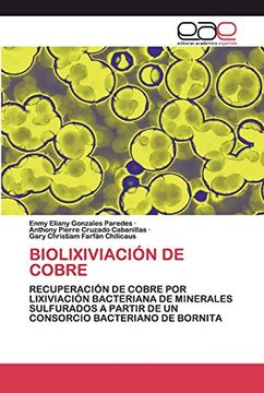 portada Biolixiviación de Cobre: Recuperación de Cobre por Lixiviación Bacteriana de Minerales Sulfurados a Partir de un Consorcio Bacteriano de Bornita (in Spanish)