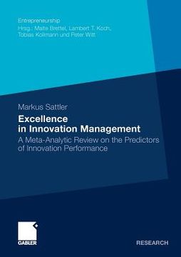 portada excellence in innovation management: a meta-analytic review on the predictors of innovation performance