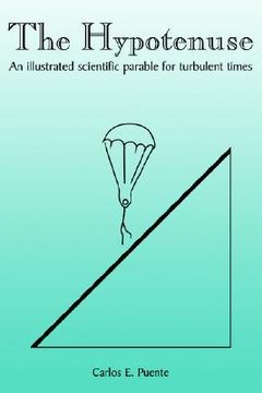 portada the hypotenuse: an illustrated scientific parable for turbulent times (en Inglés)
