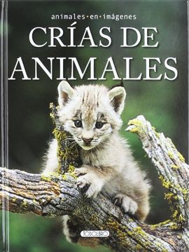 portada Crías de Animales (Animales en Imágenes) (in Spanish)