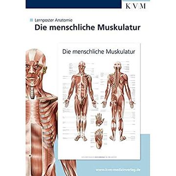 portada Anatomie Lernposter. Die Menschliche Muskulatur (en Alemán)