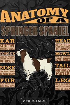 portada Anatomy of a English Springer Spaniel: English Springer Spaniel 2020 Calendar - Customized Gift for English Springer Spaniel dog Owner 