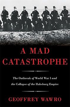 portada A Mad Catastrophe: The Outbreak of World War I and the Collapse of the Habsburg Empire