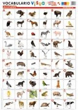 Libro Lámina de Vocabulario Visual ANIMALES De Varios Autores - Buscalibre