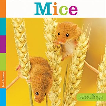 portada Mice (Seedlings: Backyard Animals) (en Inglés)
