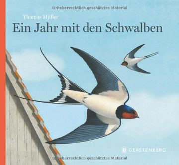 portada Ein Jahr mit den Schwalben (in German)