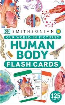 portada Our World in Pictures Human Body Flash Cards (in English)