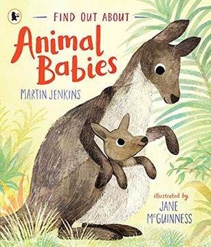 portada Find out About. Animal Babies (in English)