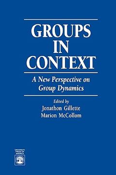 portada groups in context: a new perspective on group dynamics (en Inglés)