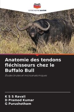 portada Anatomie des tendons fléchisseurs chez le Buffalo Bull (en Francés)