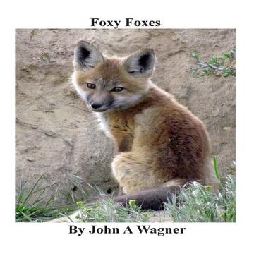 portada Foxy Foxes (en Inglés)