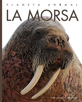 portada La Morsa (Planeta Animal) (in English)