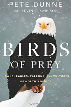 portada Birds of Prey: Hawks, Eagles, Falcons, and Vultures of North America (en Inglés)