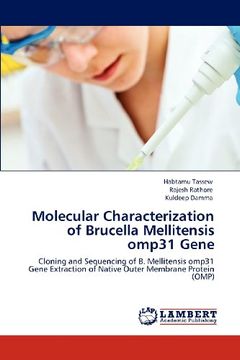 portada molecular characterization of brucella mellitensis omp31 gene (en Inglés)