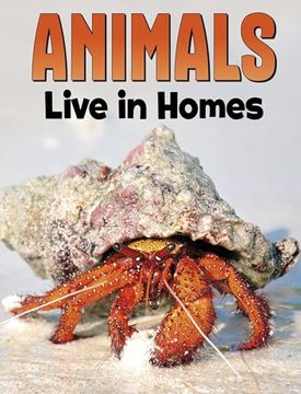 portada Animals Live in Homes
