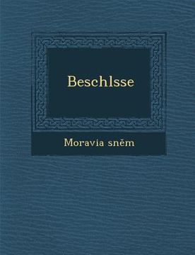 portada Beschl Sse (en Inglés)