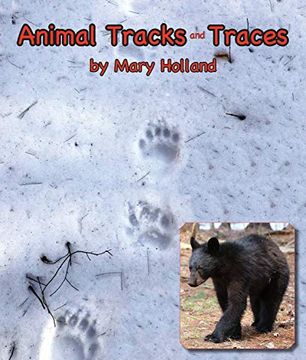 portada Animal Tracks and Traces (en Inglés)