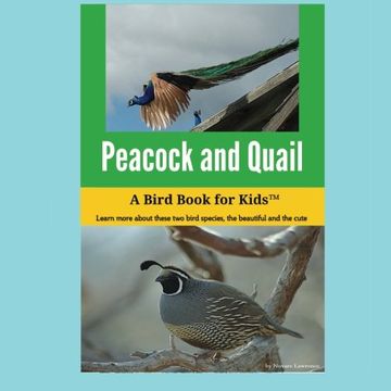 portada Peacock and Quail: A Bird Book for Kids™