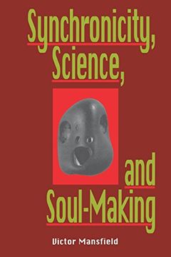 portada Synchronicity, Science, and Soulmaking: Understanding Jungian Syncronicity Through Physics, Buddhism, and Philosphy (en Inglés)