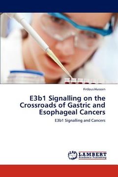 portada e3b1 signalling on the crossroads of gastric and esophageal cancers (en Inglés)