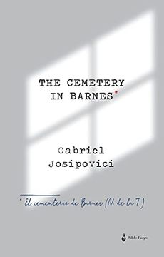 portada El Cementerio de Barnes