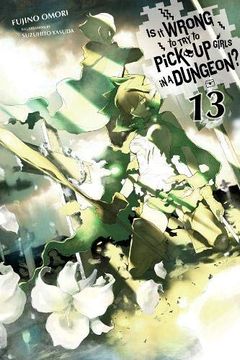 portada Is it Wrong to try to Pick up Girls in a Dungeon? , Vol. 13 (Light Novel) (in English)