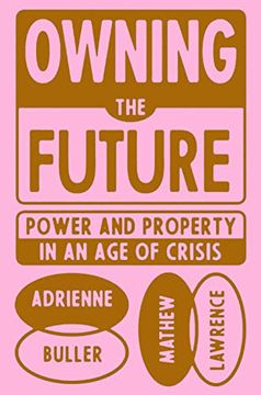 portada Owning the Future: Power and Property in an Age of Crisis (in English)