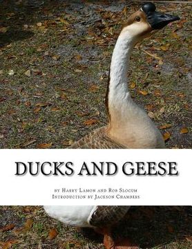 portada Ducks and Geese (en Inglés)