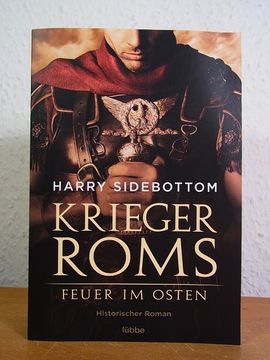 portada Krieger Roms. Feuer im Osten. Historischer Roman (en Alemán)