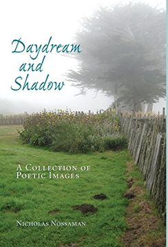 portada Daydream and Shadow: A Collection of Poetic Images (en Inglés)