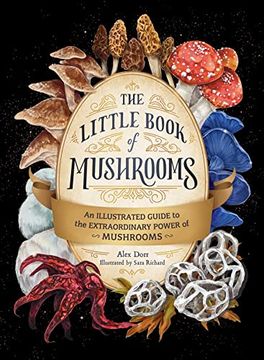 portada The Little Book of Mushrooms: An Illustrated Guide to the Extraordinary Power of Mushrooms