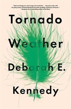 portada Tornado Weather (in English)