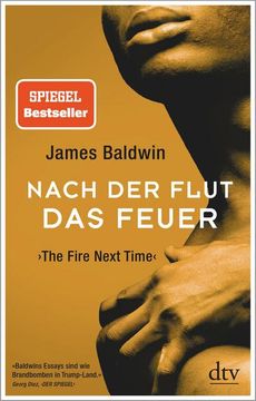 portada Nach der Flut das Feuer (in German)