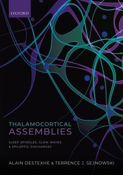 portada Thalamocortical Assemblies: Sleep Spindles, Slow Waves and Epileptic Discharges (in English)
