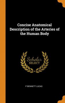 portada Concise Anatomical Description of the Arteries of the Human Body 