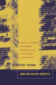 portada Cultural Trauma and Collective Identity (en Inglés)