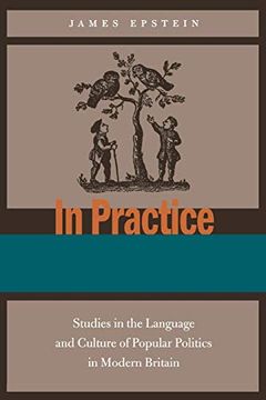 portada In Practice: Studies in the Language and Culture of Popular Politics in Modern Britain (in English)
