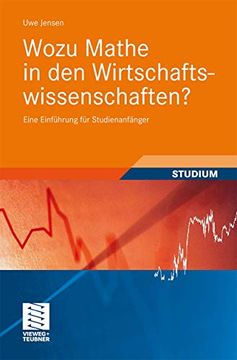 portada Wozu Mathe in den Wirtschaftswissenschaften? Eine Einführung für Studienanfänger (in German)
