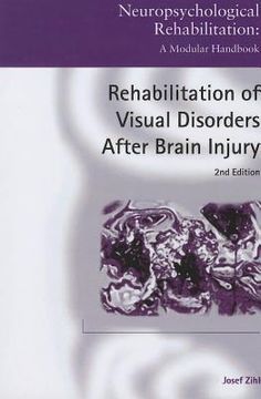 portada rehabilitation of visual disorders after brain injury: 2nd edition (in English)